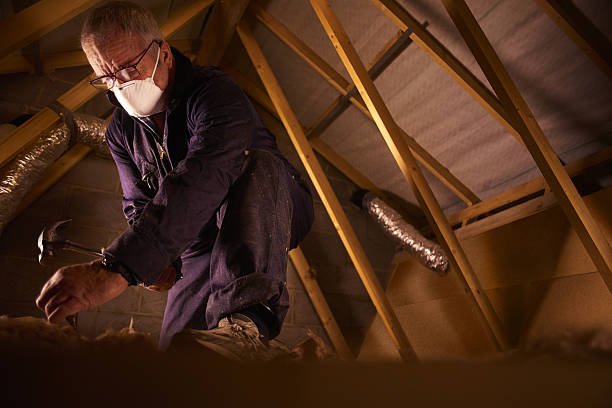 Best Types of Insulation in Greenwood, DE